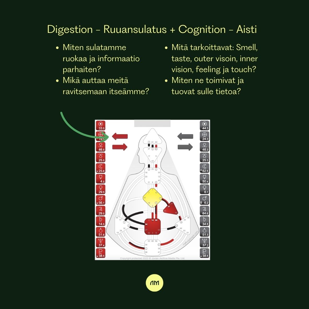 PAKETTI: Human Design nuolet ja kaikki niiden teemat